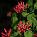 지성병원 이미지