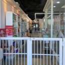 38.5DOG | [반려견 운동장] 38.5독 / 청주 대형견 수영장