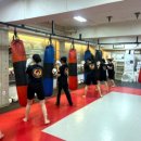 타이혼스포츠아카데미 이미지