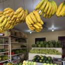 서진온누리약국 이미지