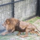 우리갈비 이미지