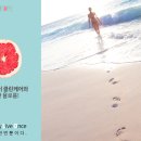 욜로클린