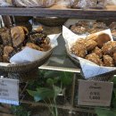 폴콘양주 이미지