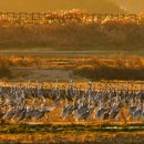 장복산길 이미지