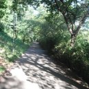 동막천자전거길 이미지