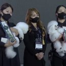 강아지미용실 정독 이미지