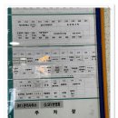 성도카센타 | 부평구청역 10분거리 눈시림 없는 부평속눈썹펌 야자브로우