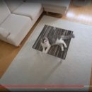 진실목장 이미지