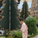 평일도서관 이미지