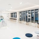 엔젤펫애견샵 이미지