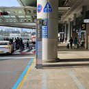 제주대학교교육대학 (국립제주박물관방면) 이미지