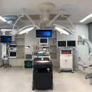 본 동물메디컬센터 외과동물병원 이미지