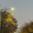 자담치킨 횡성점