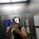 GM휘트니스 이미지