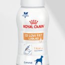 엘케이동물병원 이미지