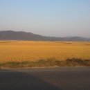 2012년 10월 14일(일) 팥, 서리태콩을 수확하고 마늘 밭을 만들다 이미지