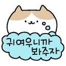갓성비소고기
