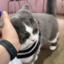 누리까까 이미지