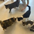 리버틴호텔 경주 이미지