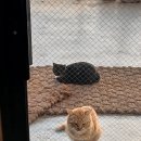 달봉이민박 이미지