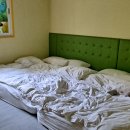 반딧불이키즈 이미지