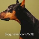 후인농장 이미지