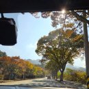 폭포상회 | 치악산 단풍코스 구룡사-세렴폭포 후기 (주차와 맛집 정보까지)
