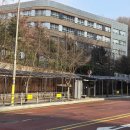 중일초등학교 이미지