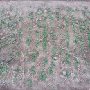 안이하우스 이미지