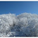 겨울 눈산행 ㅡ한라산 국립공원 ㅡ 덕유산국립공원눈산행ㅡ 소백산국립공원ㅡ 덕유산국립공원ㅡ 태백산국립공원ㅡ 치악산국립공원ㅡ 이미지
