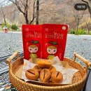 [경북캠핑장] 캠핏 추천 경북캠핑장, 문경 별하숲캠핑장에서 함께하는 낭만적인 힐링^^