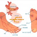 라인메디 이미지