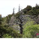 구천동주유소 이미지