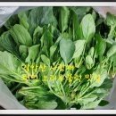 경환농장이 이미지