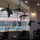 엔디어헤어 이미지