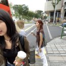 라셀 이미지