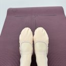 엘 필라테스 스튜디오 | [발레] 엘발레스튜디오 안양비산점 3개월 수강 후기🩰