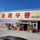 친구 카센타 이미지