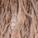 메리 셸리 <프랑켄슈타인> 이미지