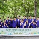 효성약국 이미지