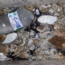 서천프린스 이미지