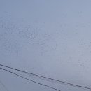 수원-1189 이미지