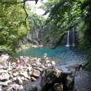 천제연폭포 이미지