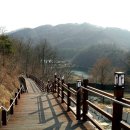 뿌리공원 이미지