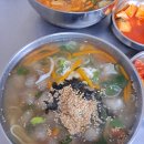 목향편백 이미지