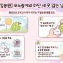 육일농원