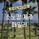 패밀리 | 소노캄 제주 패밀리 후기! 체크인 꿀팁부터 조식 리뷰까지✈️
