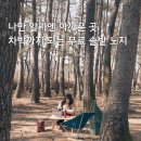 오류동솔밭화장실2 | 전남 노지 캠핑 명소 보성 겸백솔밭 (다락금유원지) 위치, 차박