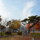 아영면 일대마을 이미지