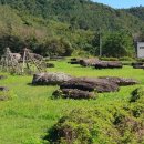 유치면 행정복지센터 이미지